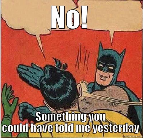 NO! SOMETHING YOU COULD HAVE TOLD ME YESTERDAY Batman Slapping Robin