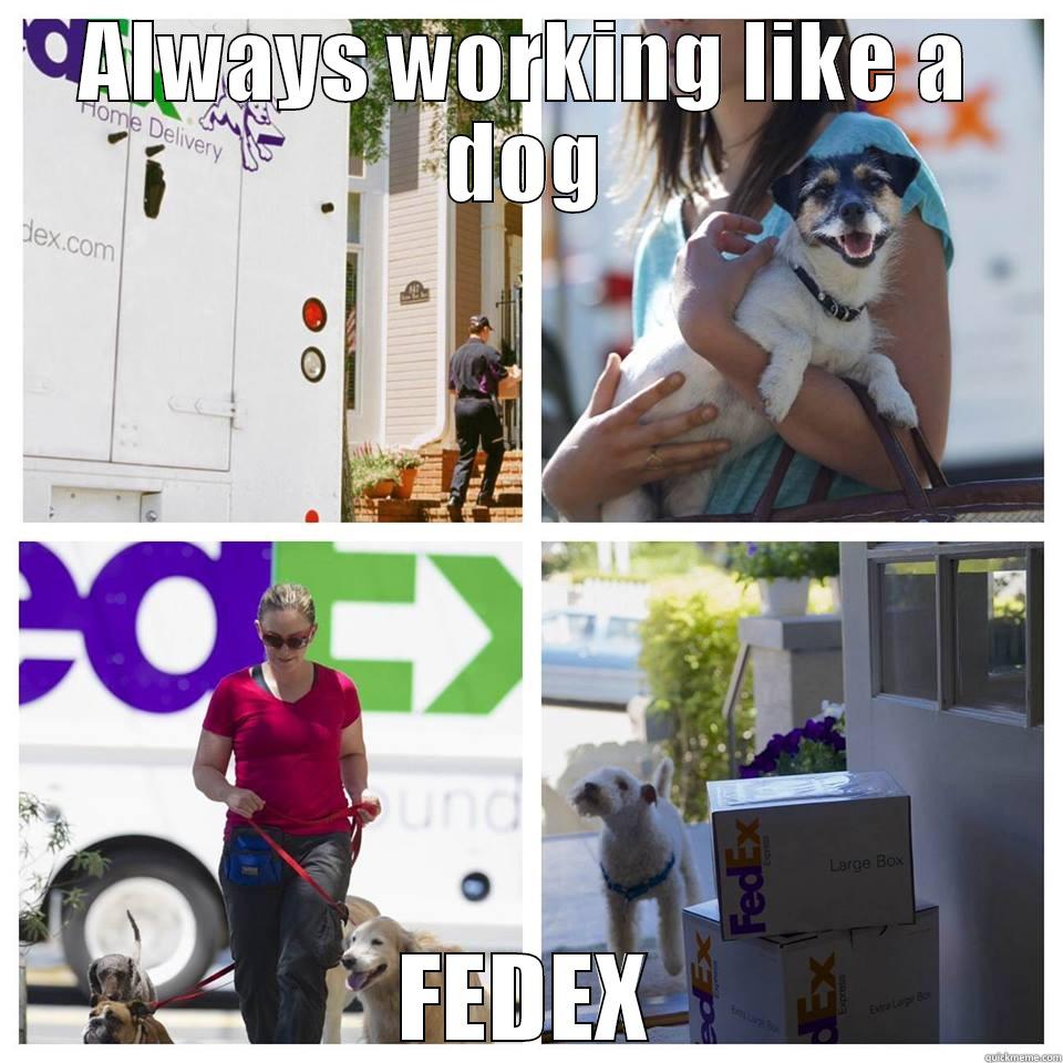 ALWAYS WORKING LIKE A DOG FEDEX Misc