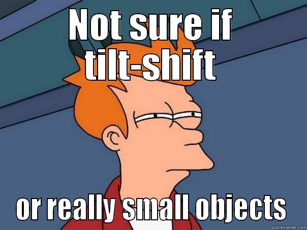 NOT SURE IF TILT-SHIFT OR REALLY SMALL OBJECTS Futurama Fry