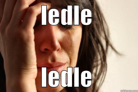 LEDLE LEDLE First World Problems