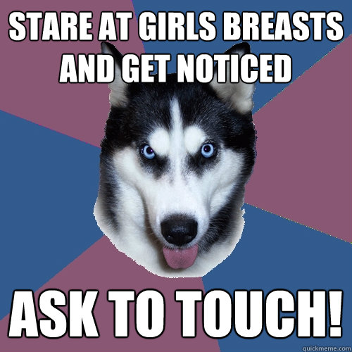 Stare at girls breasts and get noticed Ask to touch!  Creeper Canine