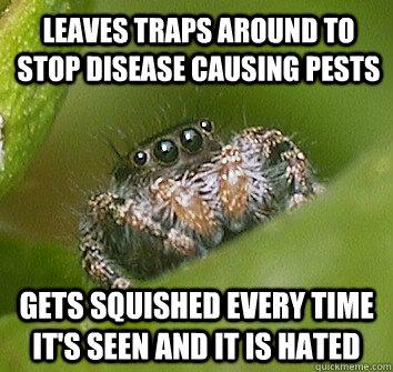 leaves traps around to stop disease causing pests gets squished every time it's seen and it is hated  Misunderstood Spider