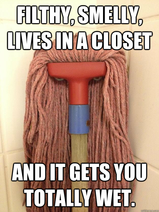 filthy, smelly, lives in a closet and it gets you totally wet.  Insanity Mop