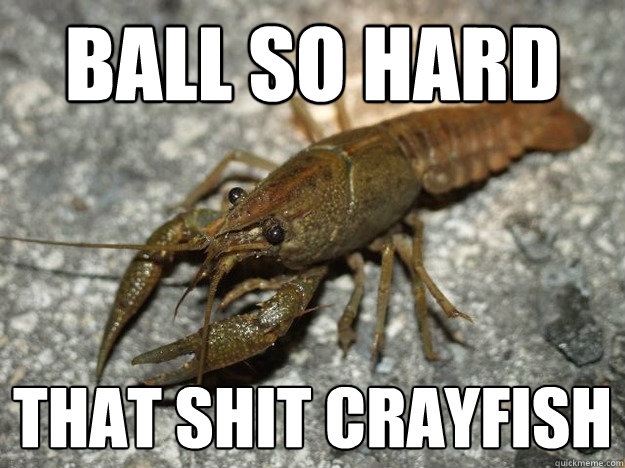 Ball so hard that shit crayfish  That shit crayfish