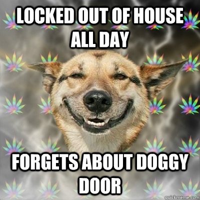 Locked out of house all day Forgets about doggy door   Stoner Dog