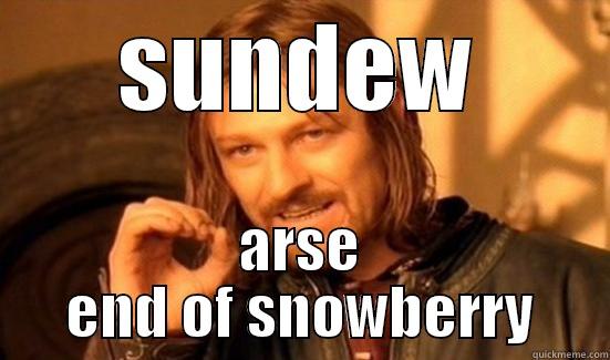 OLDSKOOL TIMBERLEA  - SUNDEW ARSE END OF SNOWBERRY Boromir