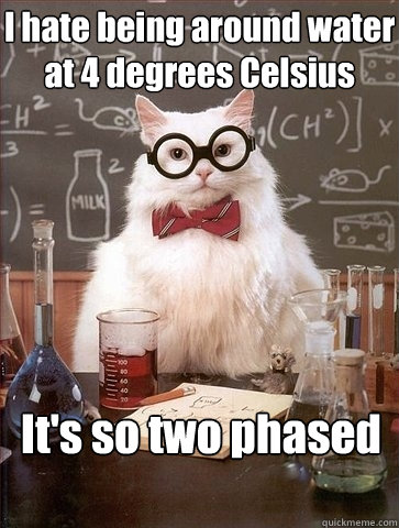 I hate being around water at 4 degrees Celsius It's so two phased - I hate being around water at 4 degrees Celsius It's so two phased  Chemistry Cat