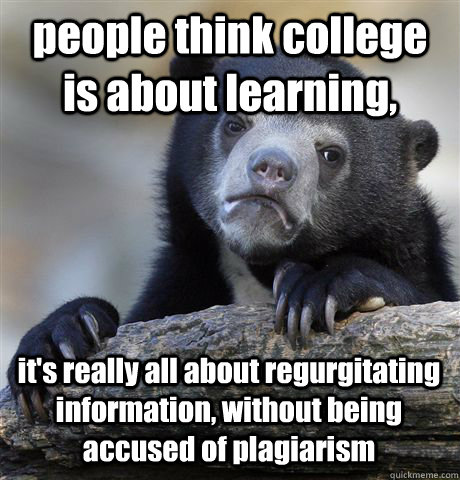 people think college is about learning, it's really all about regurgitating information, without being accused of plagiarism  Confession Bear