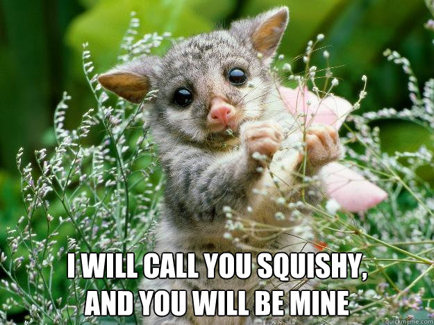  I WILL CALL YOU SQUISHY,
AND YOU WILL BE MINE -  I WILL CALL YOU SQUISHY,
AND YOU WILL BE MINE  Sentimental Lemur