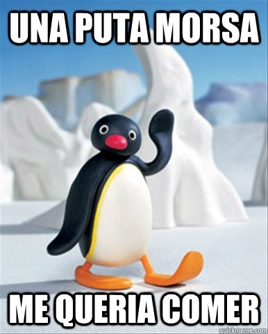 Una puta morsa Me queria comer - Una puta morsa Me queria comer  Socially Awesome Pingu