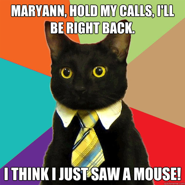 Maryann, Hold my calls, I'll be right back. I think I just saw a mouse!  Business Cat