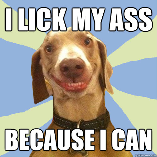 I lick my ass  because I can  Disgusting Doggy