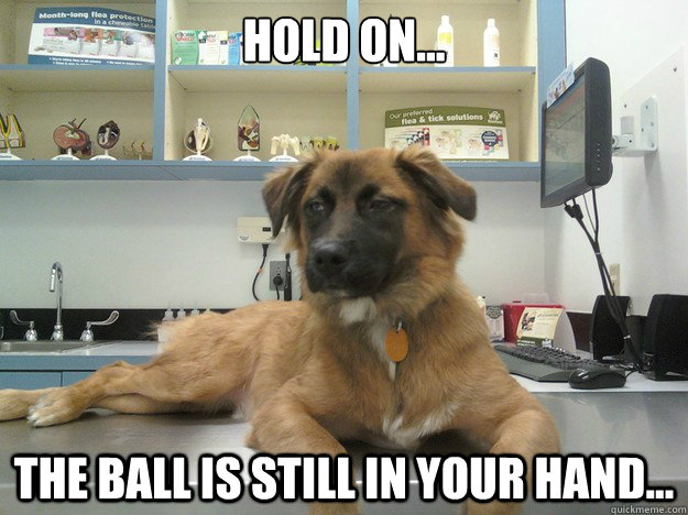 Hold on... The ball is still in your hand... - Hold on... The ball is still in your hand...  Suspicious Dog