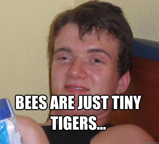  Bees are just tiny tigers...  10 Guy