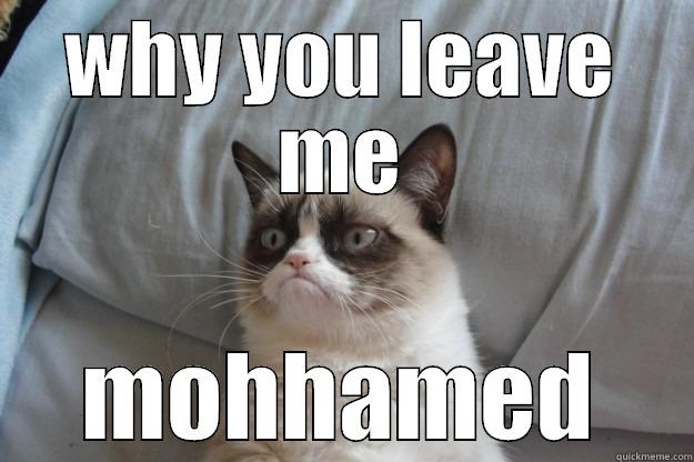 i dont really care - WHY YOU LEAVE ME MOHHAMED Grumpy Cat