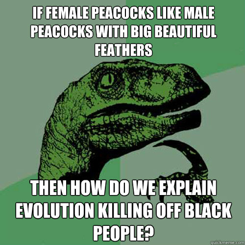 If female peacocks like male peacocks with big beautiful feathers Then how do we explain evolution killing off black people?  Philosoraptor