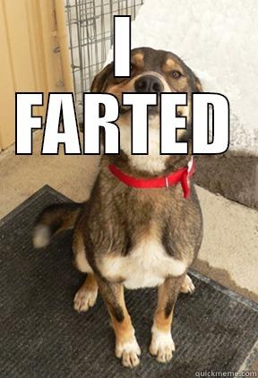 I  FARTED Good Dog Greg