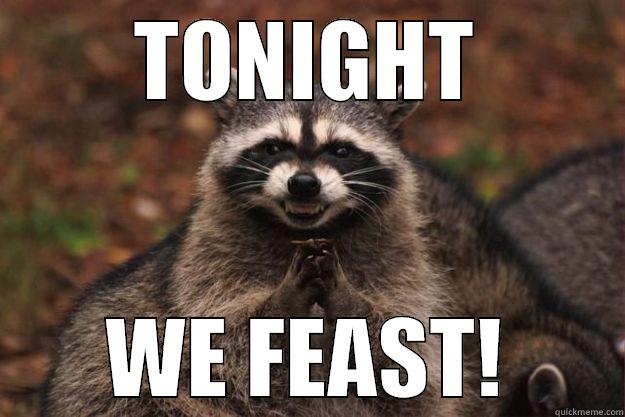 Tonight we feast - TONIGHT WE FEAST! Evil Plotting Raccoon