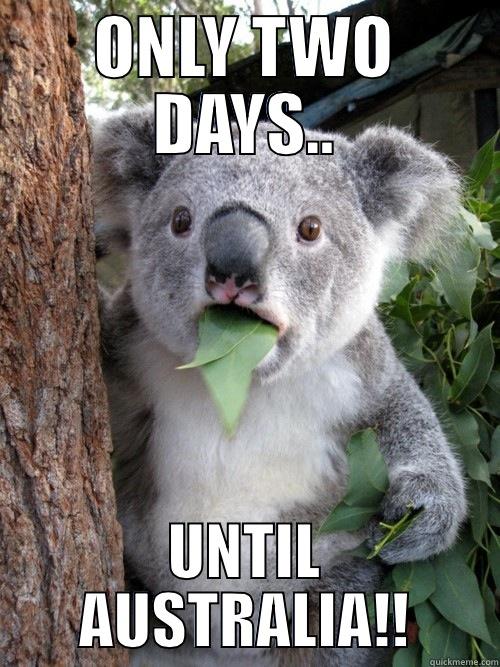 ONLY TWO DAYS.. UNTIL AUSTRALIA!! koala bear