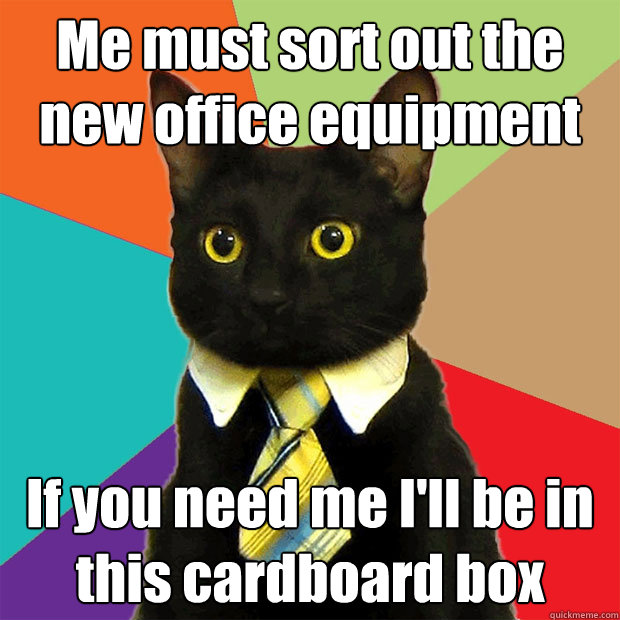 Me must sort out the new office equipment If you need me I'll be in this cardboard box - Me must sort out the new office equipment If you need me I'll be in this cardboard box  Business Cat