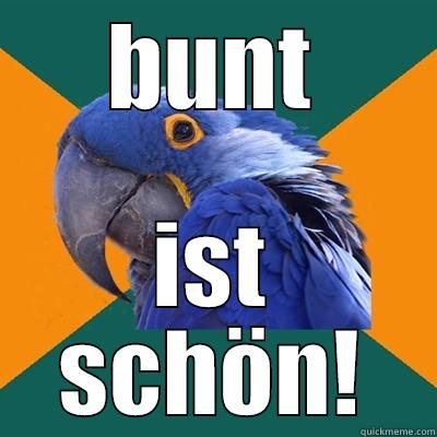 bunter papagei - BUNT IST SCHÖN! Paranoid Parrot