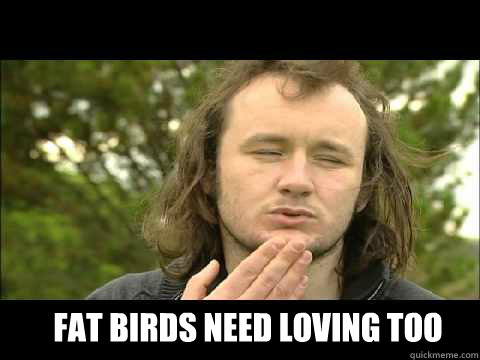 fat birds need loving too - fat birds need loving too  Misc