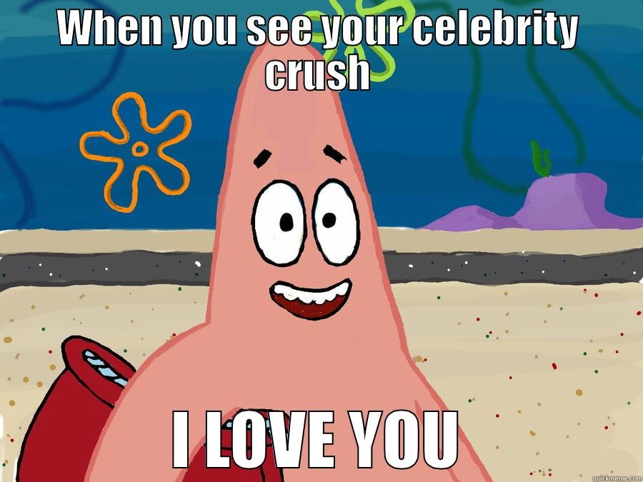 WHEN YOU SEE YOUR CELEBRITY CRUSH I LOVE YOU Misc