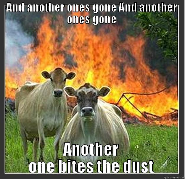 AND ANOTHER ONES GONE AND ANOTHER ONES GONE ANOTHER ONE BITES THE DUST Evil cows