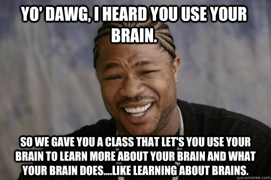 Yo' dawg, I heard you use your brain.  So we gave you a class that let's you use your brain to learn more about your brain and what your brain does....like learning about brains.   YO DAWG