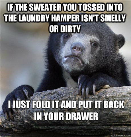 IF THE SWEATER YOU TOSSED INTO THE LAUNDRY HAMPER ISN'T SMELLY OR DIRTY I JUST FOLD IT AND PUT IT BACK IN YOUR DRAWER  Confession Bear