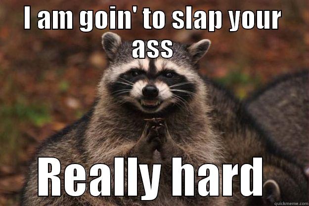 I AM GOIN' TO SLAP YOUR ASS REALLY HARD Evil Plotting Raccoon