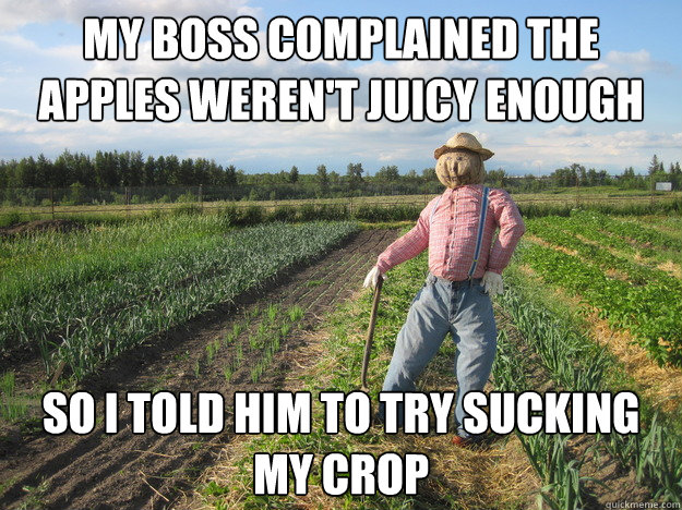 My boss complained the apples weren't juicy enough so I told him to try sucking my crop  Scarecrow