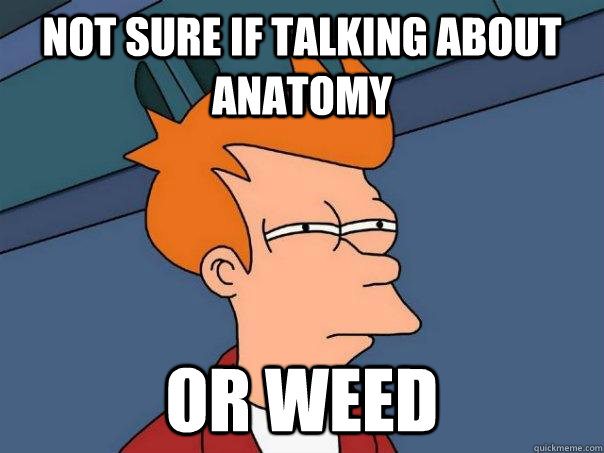 Not sure if talking about anatomy Or weed  Futurama Fry