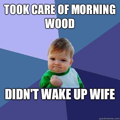 Took care of morning wood didn't wake up wife   Success Kid