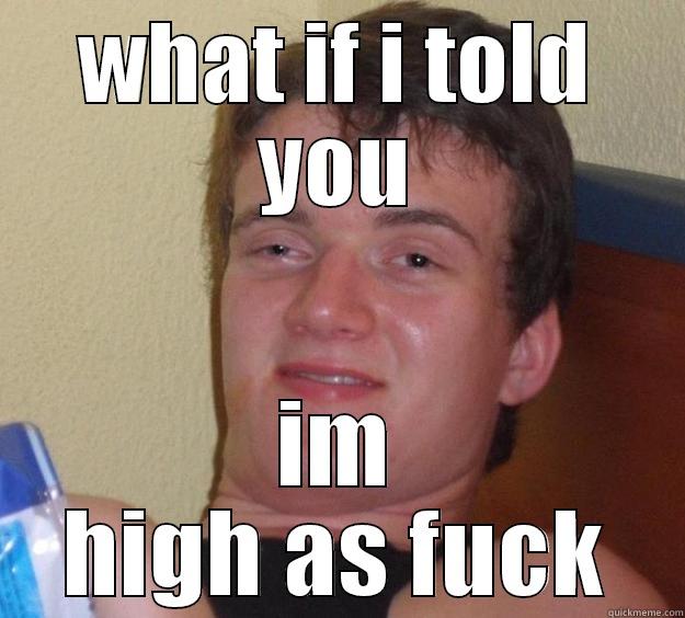 WHAT IF I TOLD YOU IM HIGH AS FUCK 10 Guy