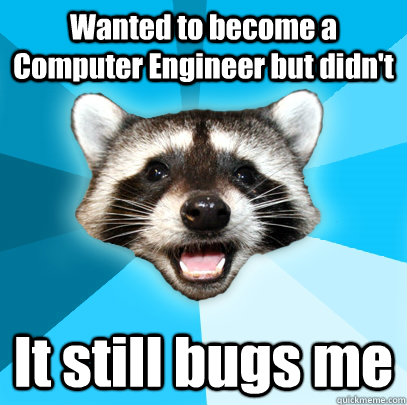 Wanted to become a Computer Engineer but didn't It still bugs me - Wanted to become a Computer Engineer but didn't It still bugs me  Lame Pun Coon