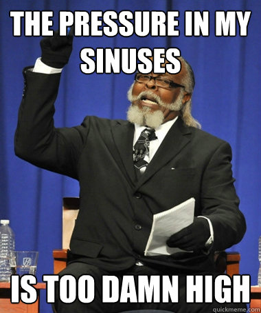 the pressure in my sinuses is too damn high - the pressure in my sinuses is too damn high  The Rent Is Too Damn High