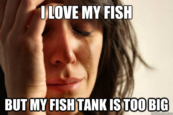 i-love-my-fish-but-my-fish-tank-is-too-big-first-world-problems