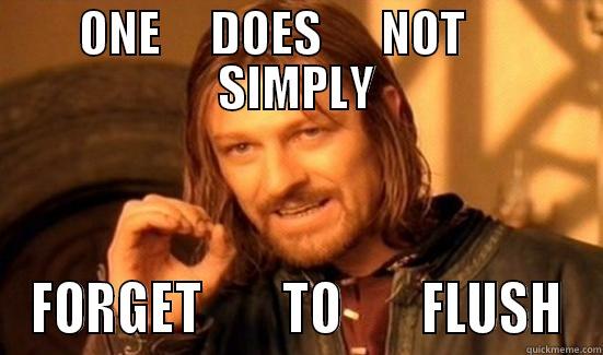 girls bathroom signs - ONE     DOES      NOT      SIMPLY FORGET        TO        FLUSH Boromir