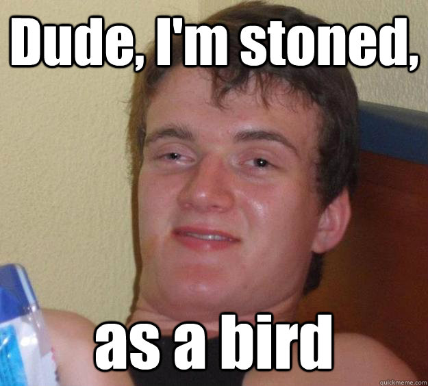 Dude, I'm stoned, as a bird  10 Guy