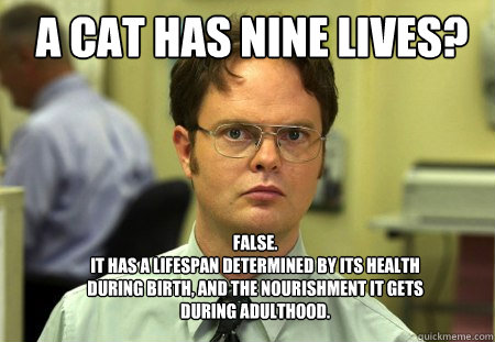 A CAT HAS NINE LIVES? FALSE.  
IT HAS A LIFESPAN DETERMINED BY ITS HEALTH DURING BIRTH, AND THE NOURISHMENT IT GETS DURING ADULTHOOD.  Schrute