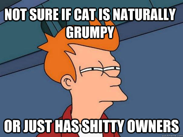 Not sure if cat is naturally grumpy Or just has shitty owners - Not sure if cat is naturally grumpy Or just has shitty owners  Futurama Fry