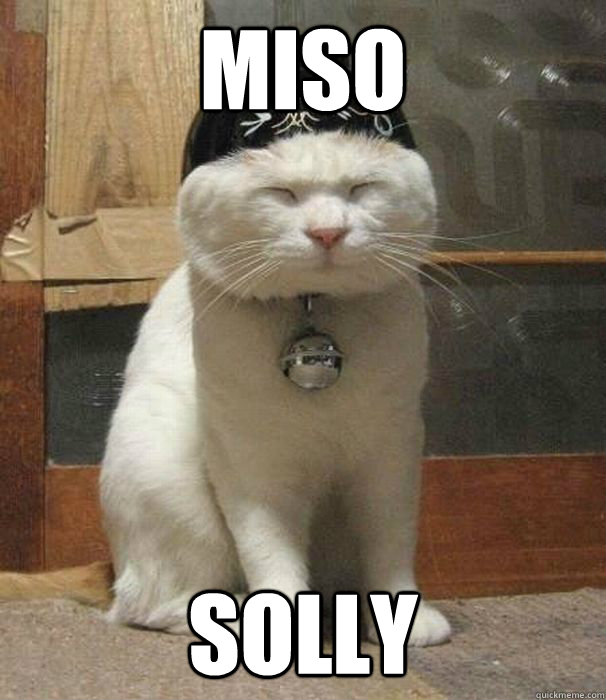 MiSO SOLLY  