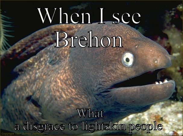 WHEN I SEE BREHON WHAT A DISGRACE TO LIGHTSKIN PEOPLE  Bad Joke Eel