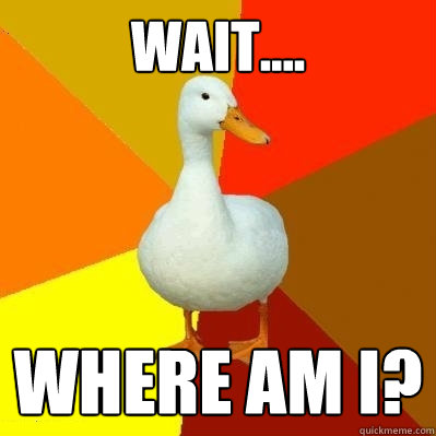 Wait.... Where am i? - Wait.... Where am i?  Tech Impaired Duck