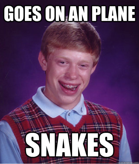 goes on an plane snakes  Bad Luck Brian