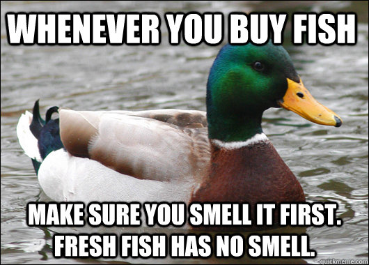 Whenever you buy fish Make sure you smell it first. Fresh fish has no smell. - Whenever you buy fish Make sure you smell it first. Fresh fish has no smell.  Actual Advice Mallard