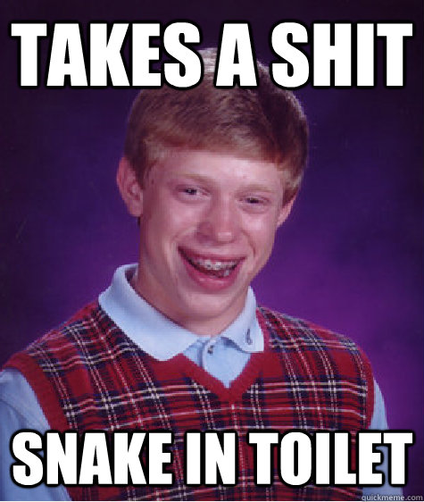 Takes a shit snake in toilet  Bad Luck Brian