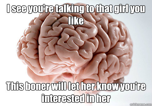 I see you're talking to that girl you like This boner will let her know you're interested in her  Scumbag Brain