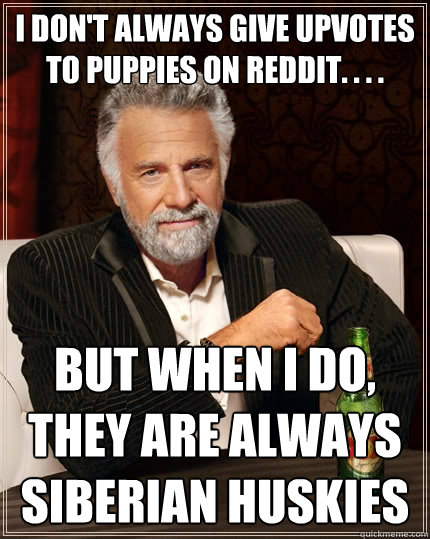 I don't always give upvotes to puppies on reddit. . . . but when I do, they are always Siberian huskies  The Most Interesting Man In The World